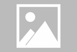 十二生肖电影高清在线观看,生肖传奇，高清盛宴